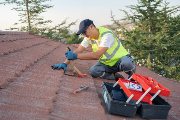 Best Roof Waterproofing Services  in Maan, ND